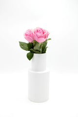 Vaso Dessau - 0051268