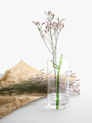 Vaso Foglia Verde H24 D11 | Vasi in vetro Design Ichendorf Milano - 09366110