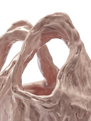 Vaso Gala S Rosa Design Kseniya Kravtsova Per Serax