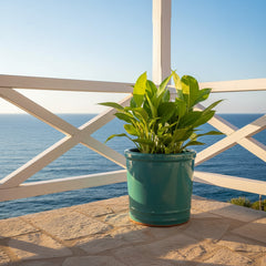 Vaso Glaze Cilindro H18 D18 Celeste EDG | Cachepot in Ceramica Smaltata