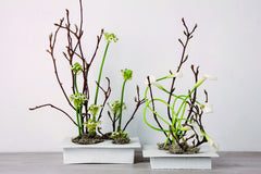 Ciotola Ikebana piccola: ciotole ceramica design D&amp;M - AAR4905WH