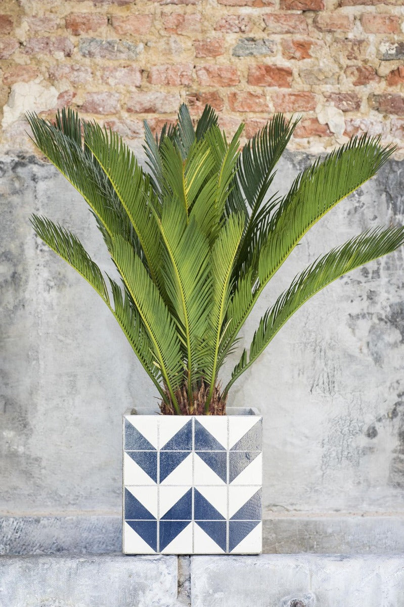 Pot Marie Zig Zag 22X22XH22 Righe Blu Elettrico - B7217007-Righe Blu Elettrico