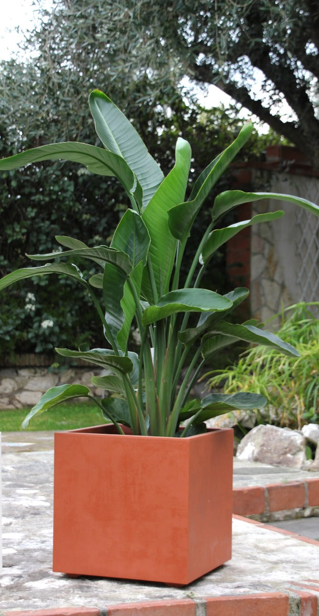 Vaso Millennium Cubo 39X39 | Vasi di design in plastica per esterno - CONFIG0350