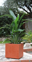 Vaso Millennium Cubo 39X39 | Vasi di design in plastica per esterno - CONFIG0350