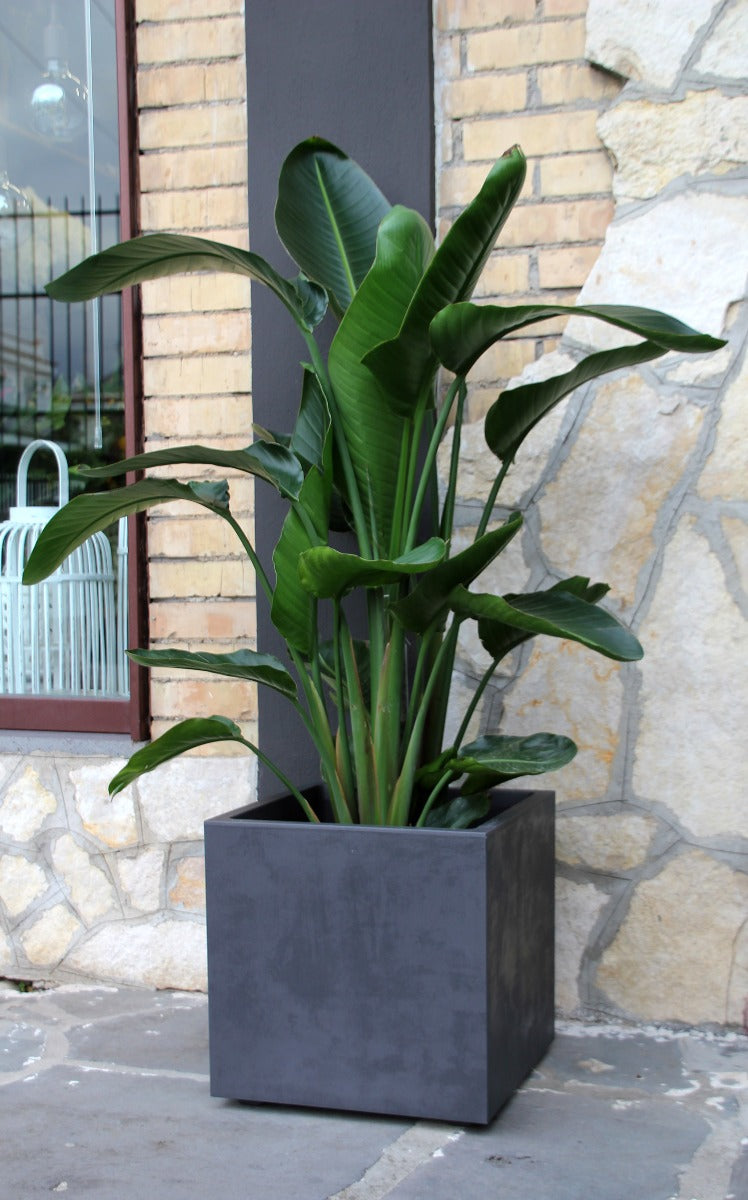 Vaso Millennium Cubo 39X39 | Vasi di design in plastica per esterno - CONFIG0350