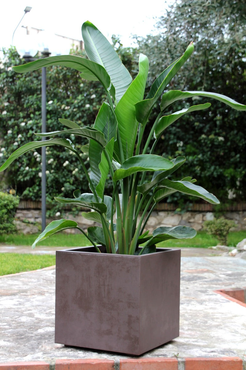 Vaso Millennium Cubo 39X39 | Vasi di design in plastica per esterno - CONFIG0350