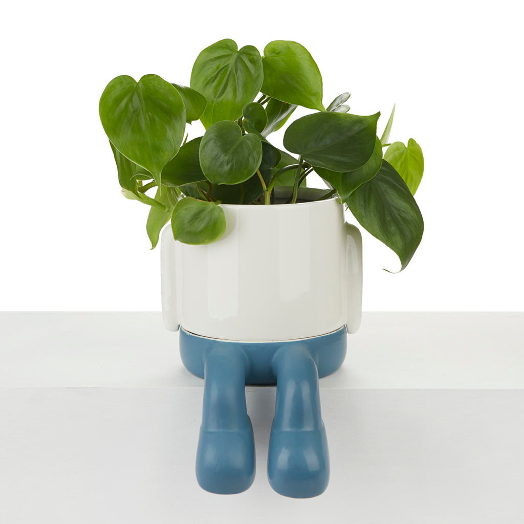 Vaso Porta Piante da interno Mr.Dangly Azzurro H22 - 27529