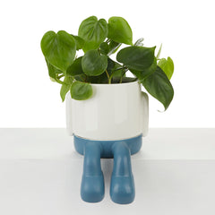 Vaso Porta Piante da interno Mr.Dangly Azzurro H22 - 27529