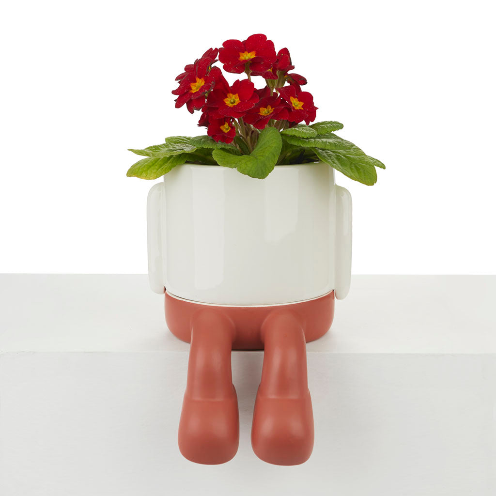 Vaso Porta Piante da interno Mr.Dangly Rosso H22 - 27528