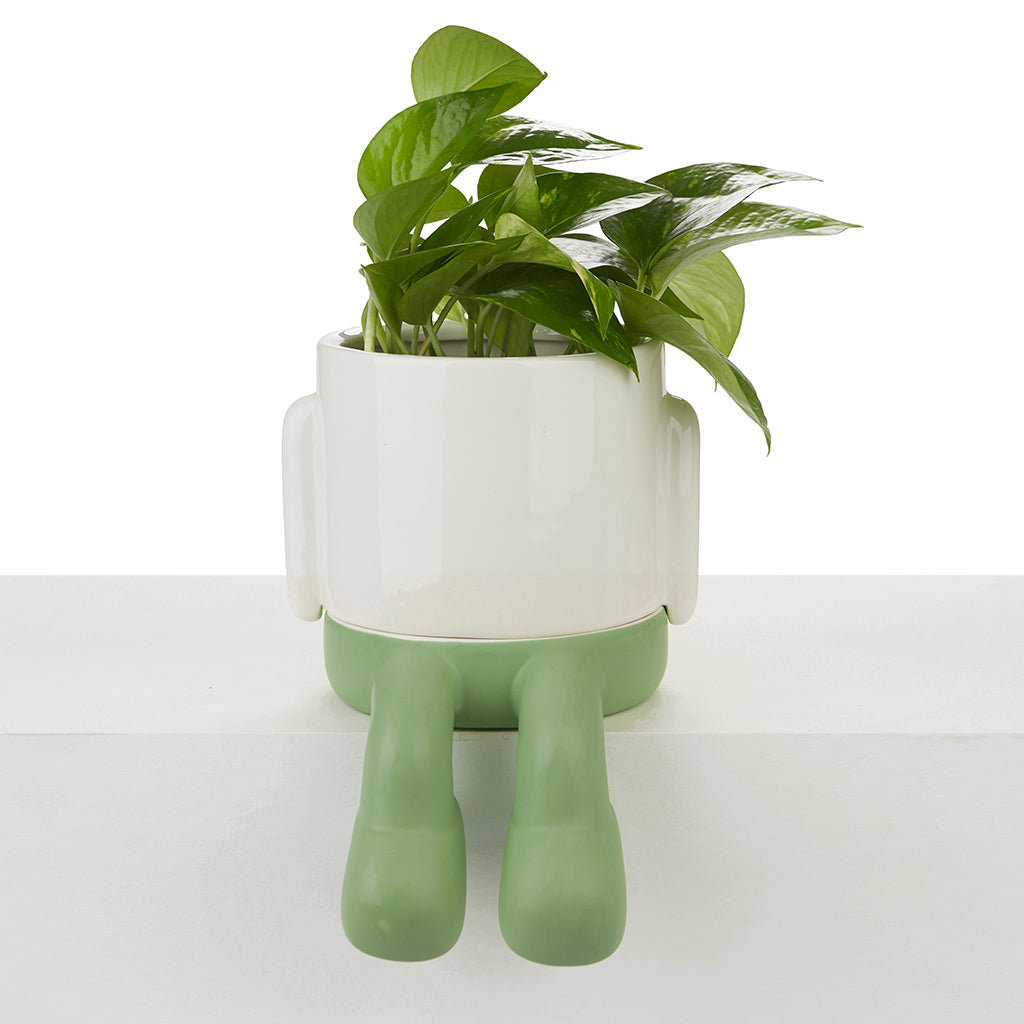 Vaso Porta Piante da interno Mr.Dangly Verde H22 - 27530