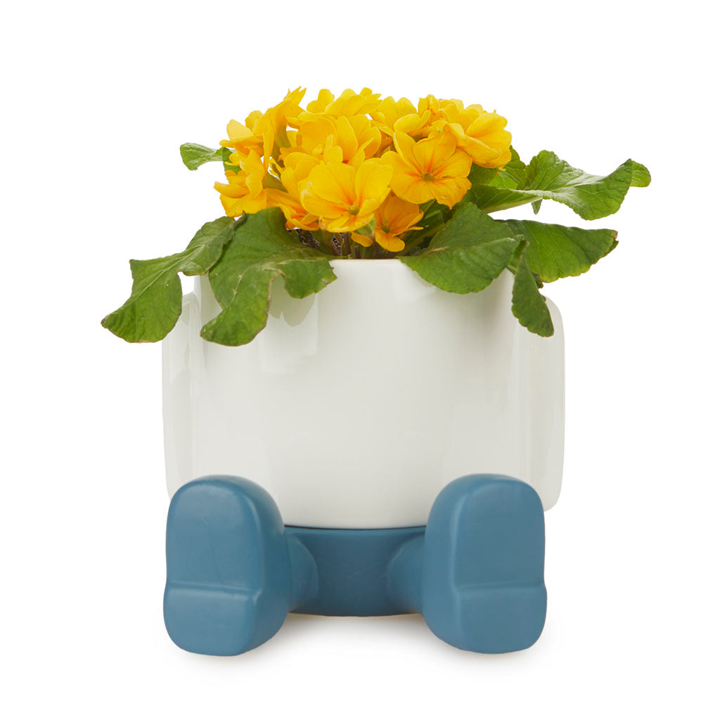 Vaso Porta Piante da interno Mr.Sitty Azzurro H15 - 27526