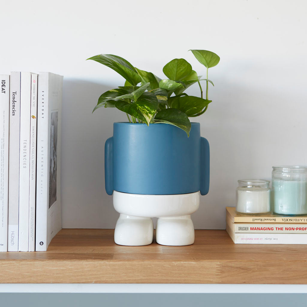 Vaso Porta Piante da interno Mr.Standy Azzurro H20 - 27523
