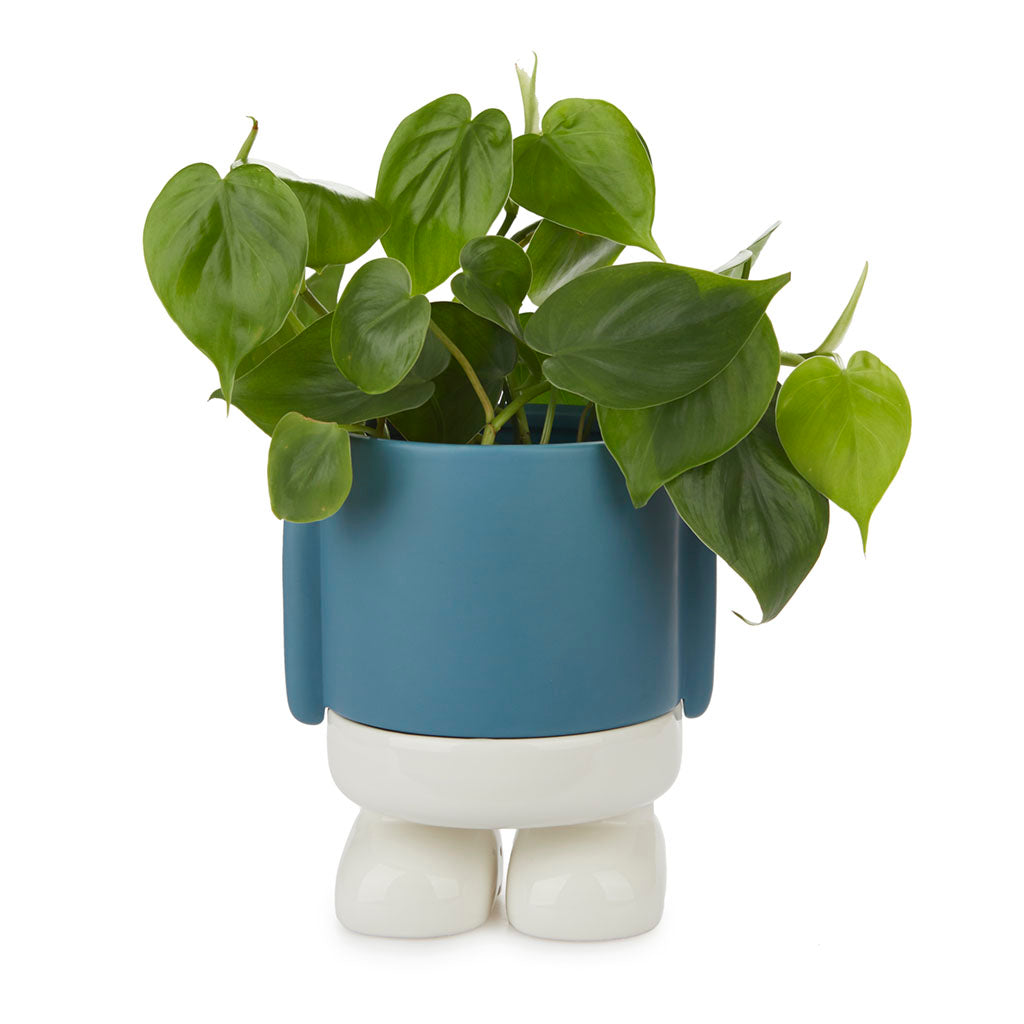 Vaso Porta Piante da interno Mr.Standy Azzurro H20 - 27523