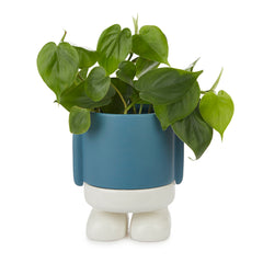 Vaso Porta Piante da interno Mr.Standy Azzurro H20 - 27523