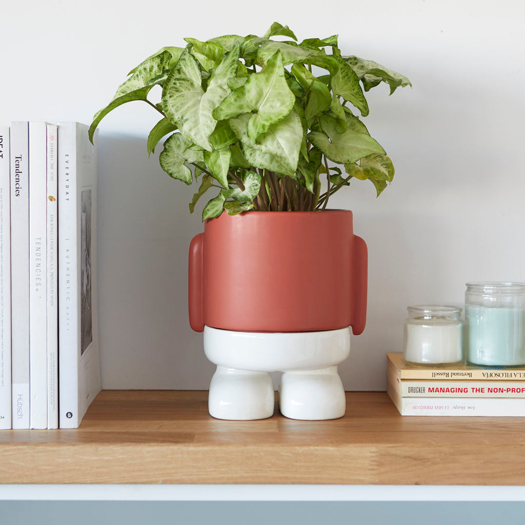 Vaso Porta piante da interno Mr.Standy Rosso H20 - 27522