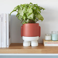 Vaso Porta piante da interno Mr.Standy Rosso H20 - 27522