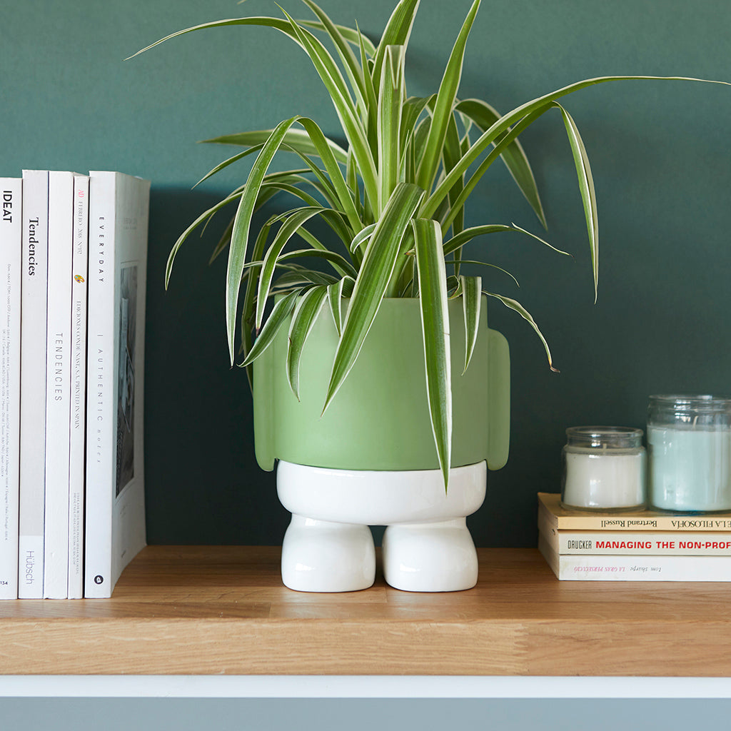 Vaso Porta Piante da interno Mr.Standy Verde H20 - 27524