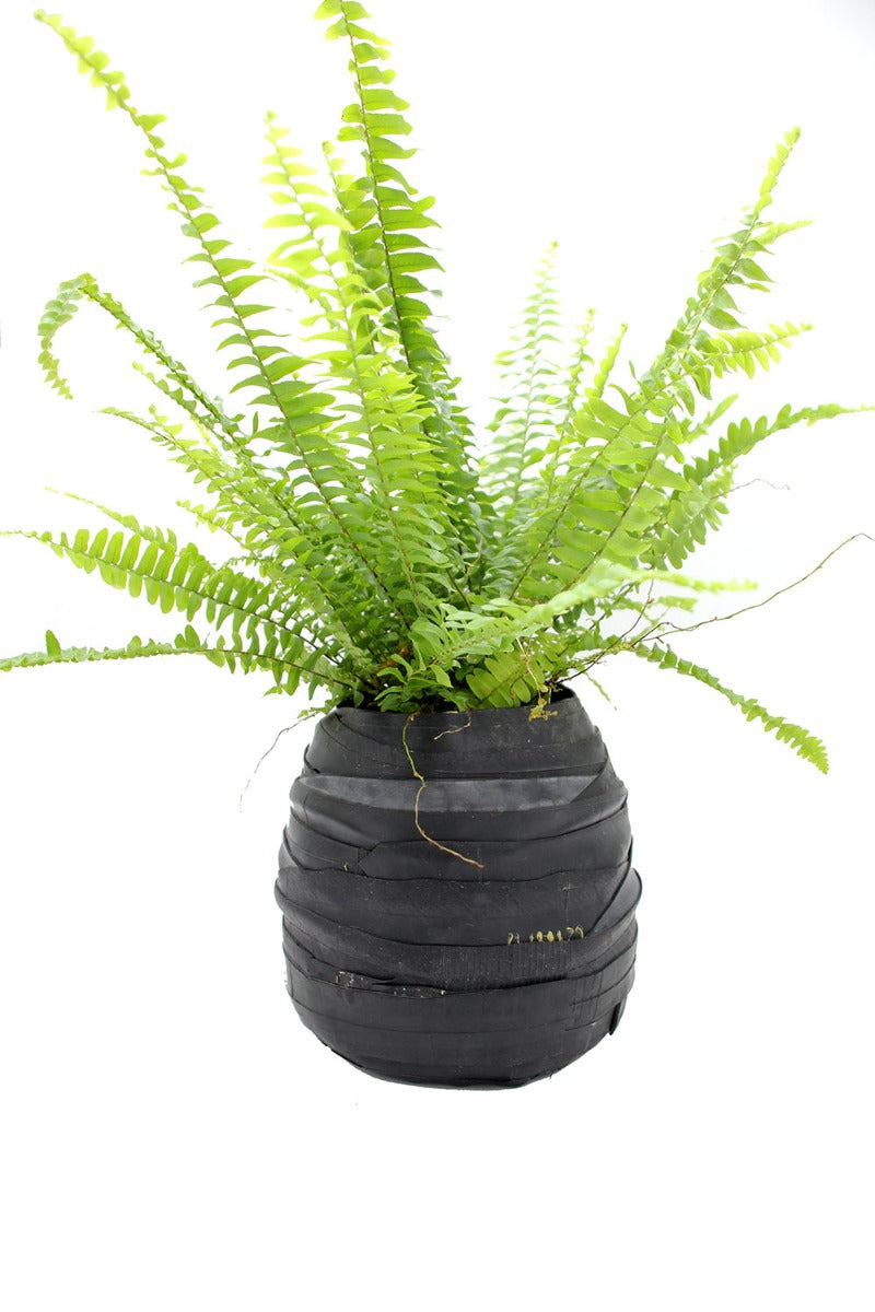Vaso Porta Piante Rubber Alto Small | Vaso in Gomma Riciclata - B7211296-3