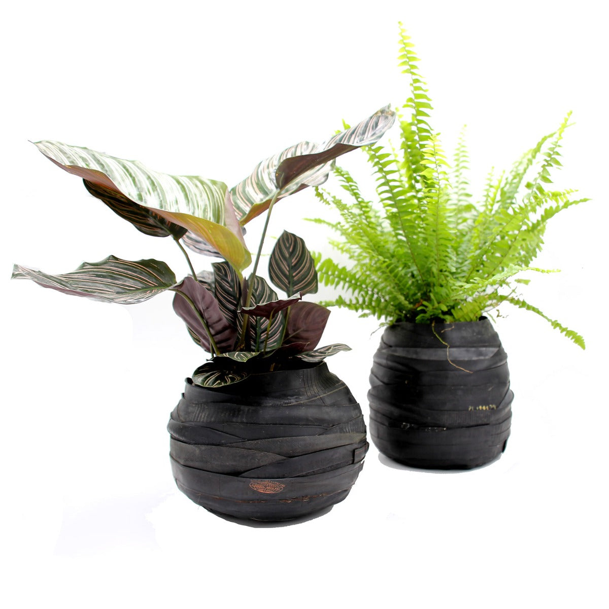 Vaso Porta Piante Rubber Alto Small | Vaso in Gomma Riciclata - B7211296-3