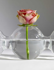 Vaso Caterpillar Rene Barba 4 fori : Vasi di design in vetro - B0804909