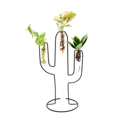 Mix Idro Cactus | Piante idroponiche in vasi di design Limited Edition  - idro-27582
