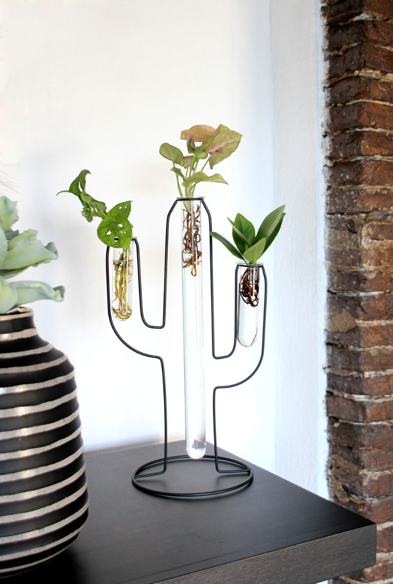 Mix Idro Cactus | Piante idroponiche in vasi di design Limited Edition  - idro-27582
