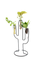 Mix Idro Cactus | Piante idroponiche in vasi di design Limited Edition  - idro-27582