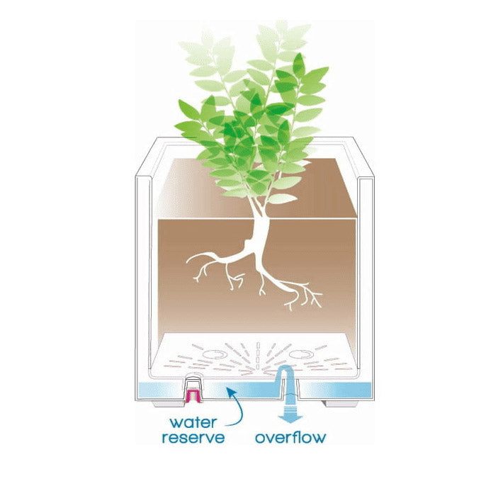 Vaso Millennium Cubo 39X39 | Vasi di design in plastica per esterno - CONFIG0350