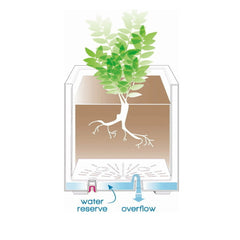 Vaso Millennium Cubo 49x49 | vasi di design in plastica per esterno - CONFIG0351