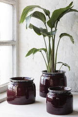 Vaso Reactive Aubergine : Vasi design Serax - CONFIG0187