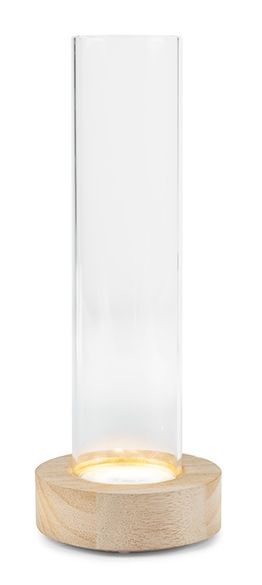 Vaso portafiori in vetro su base in legno con led H22cm - 2202232