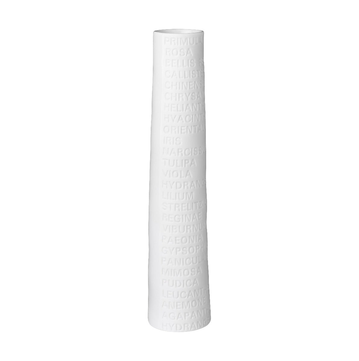 Vaso Room Poetry H23 - 4912441