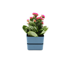 Vaso Veleta Denim 9CM | Vasi di design in plastica colorata TERAPLAST - 08768009-310
