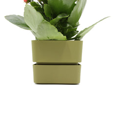 Vaso Veleta Olive 9CM | Vasi di design in plastica colorata TERAPLAST - 08768009-313