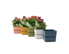 Vaso Veleta 12CM | Vasi di design in plastica colorata TERAPLAST - 08768012-308-1