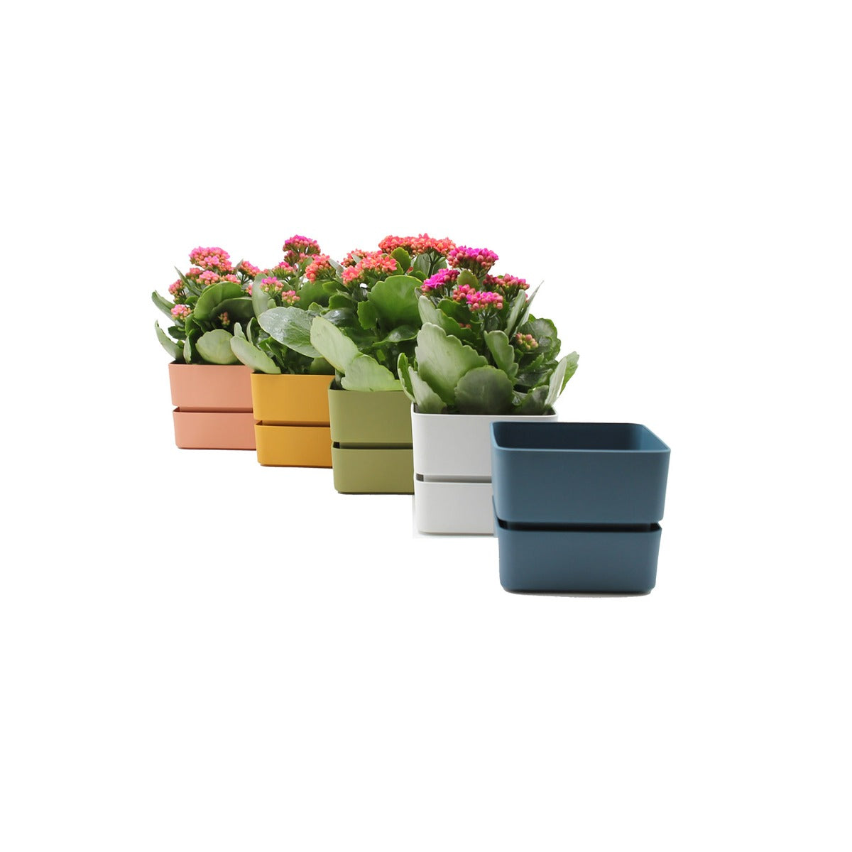 Vaso Veleta 12CM | Vasi di design in plastica colorata TERAPLAST - 08768012-308-1