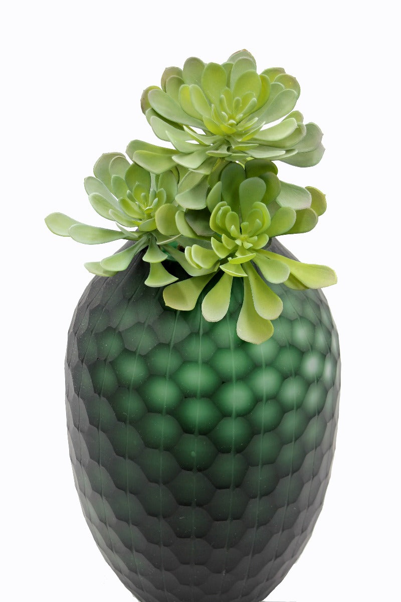 Pianta succulenta finta: piante grasse artificiali di qualit&agrave; - 232002
