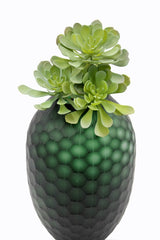 Pianta succulenta finta: piante grasse artificiali di qualit&agrave; - 232002
