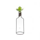 Clusia Idro Bottle Silhouette | Piante idroponiche in vasi di design Limited Edition 
