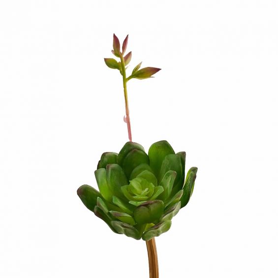 Pianta artificiale di Aeonium con fiore : Piante succulente artificali