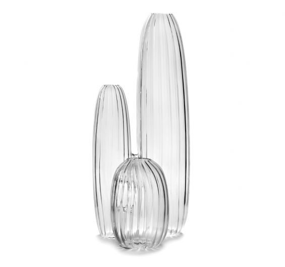 Vaso Bonseki : Vasi in vetro di design