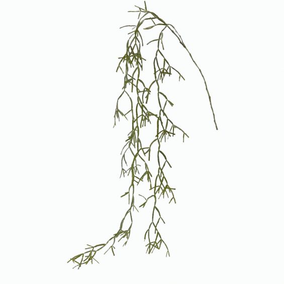 Euphorbia Tirucalli Cadente: piante grasse artificiali di qualità 