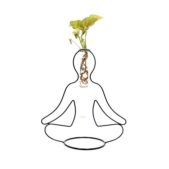 Syngonium Rosa Idro Yoga | Piante idroponiche in vasi di design Limited Edition 