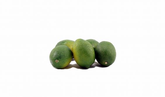 Limoni finti verdi: frutta finta