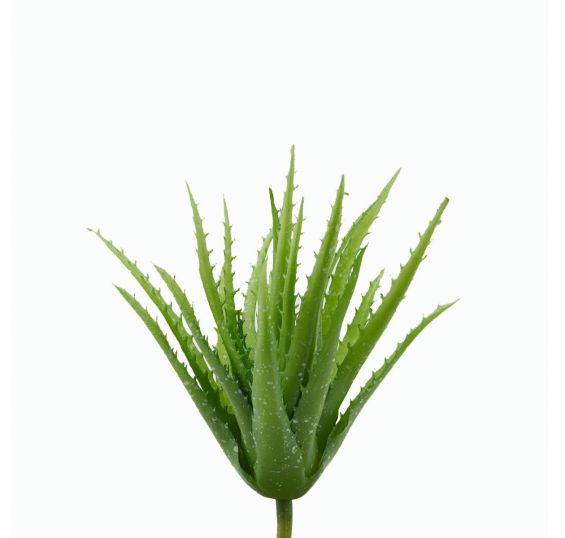 Cespuglio di Aloe: piante artificiali di qualità 