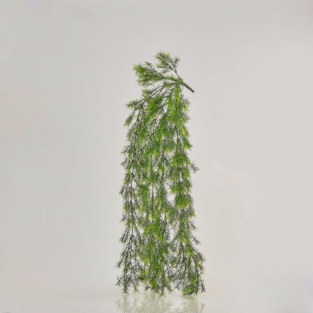 Asparagina: piante artificiali di qualità 