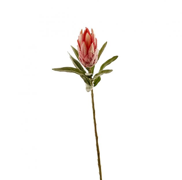 Fiore artificiale di Protea rosa H70