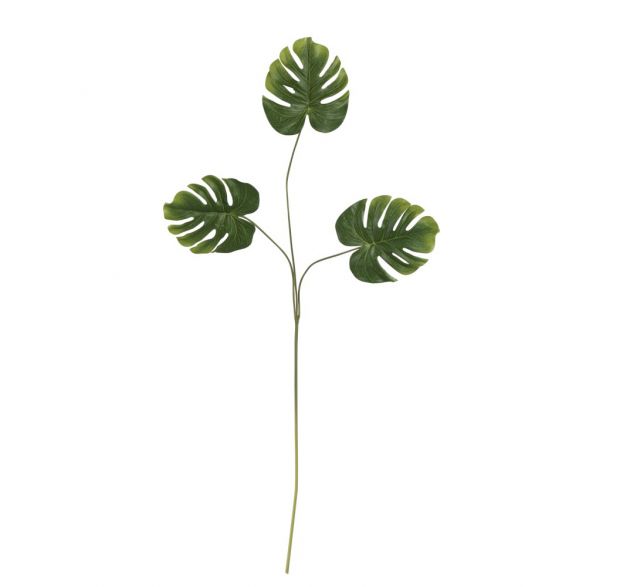 Ramo Filodendro con foglie piccole: piante finte di qualità 