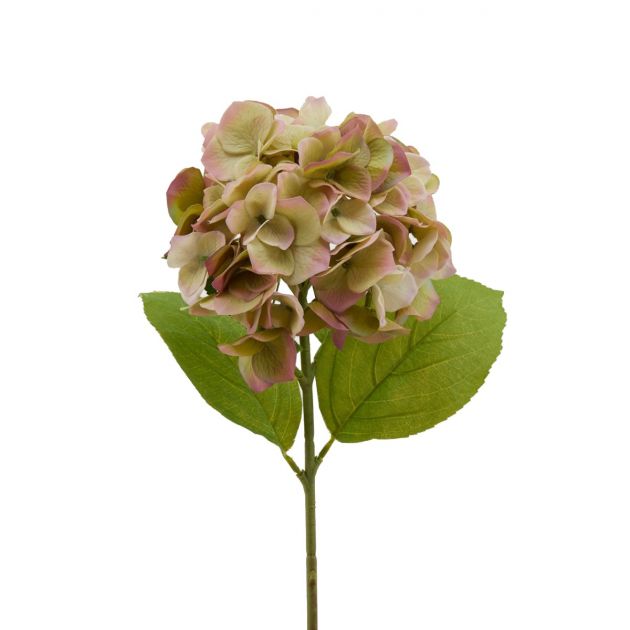 Ortensia artificiale Green Pink Real Touch H50 | Fiori artificiali Real Touch