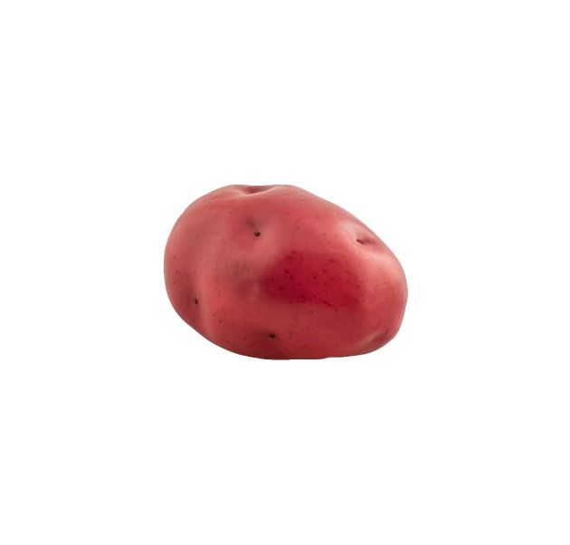 Patata rossa artificiale | Frutta e verdura finta